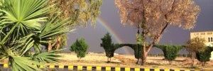 roial909's profile banner image