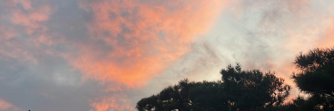 sandianchen's profile banner image