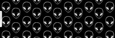 quelradu's profile banner image