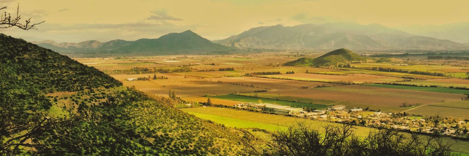 MacaFranulic's profile banner image