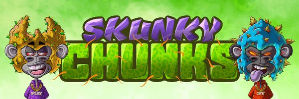 SkunkyChunks Profile Banner