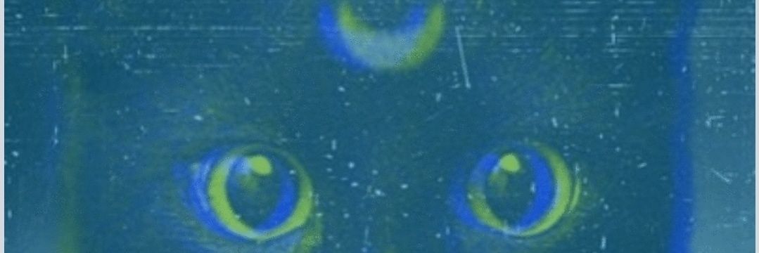 Đmt-ape.Ξth banner