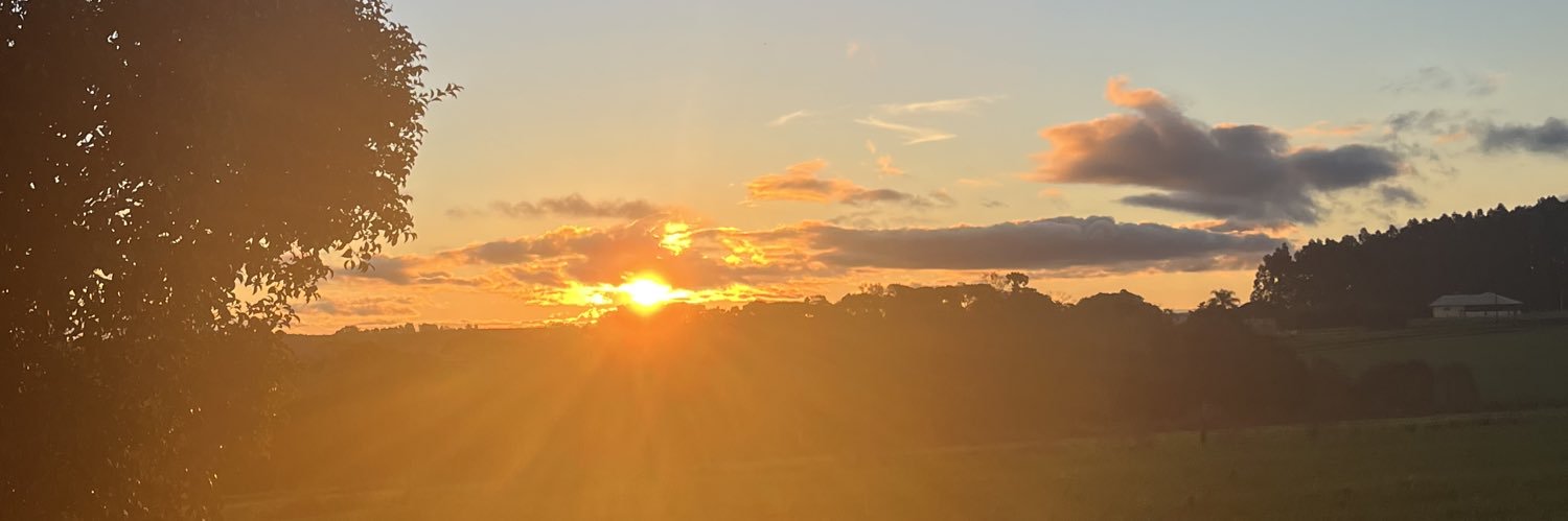 mari_altmann's profile banner image