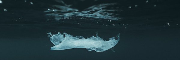 Earthwake_ Profile Banner