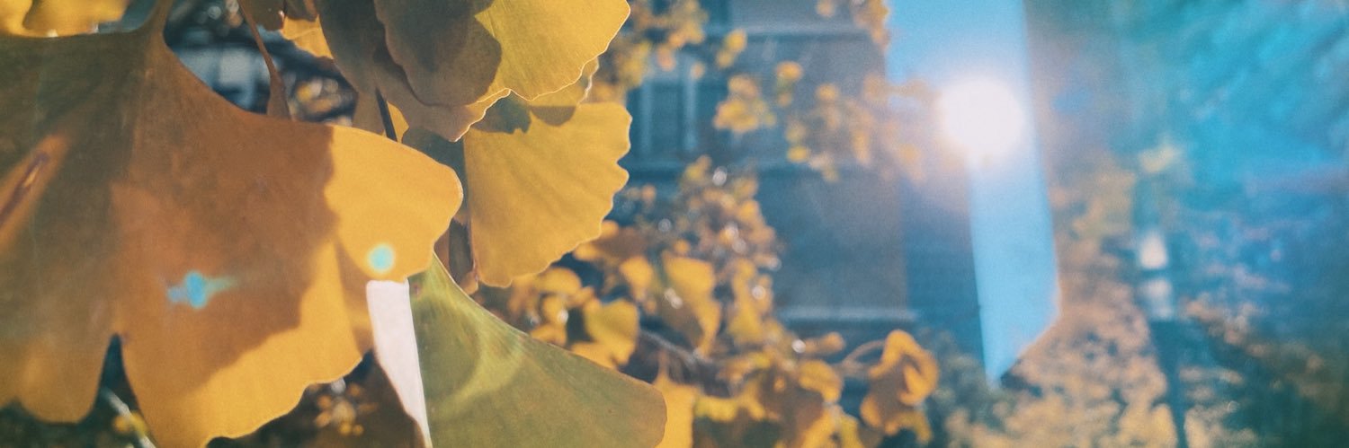 arkindo's profile banner image