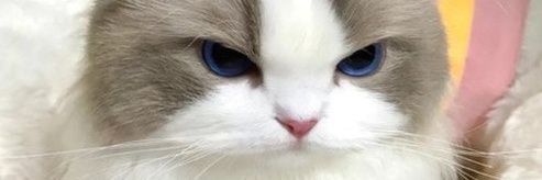 거래 banner