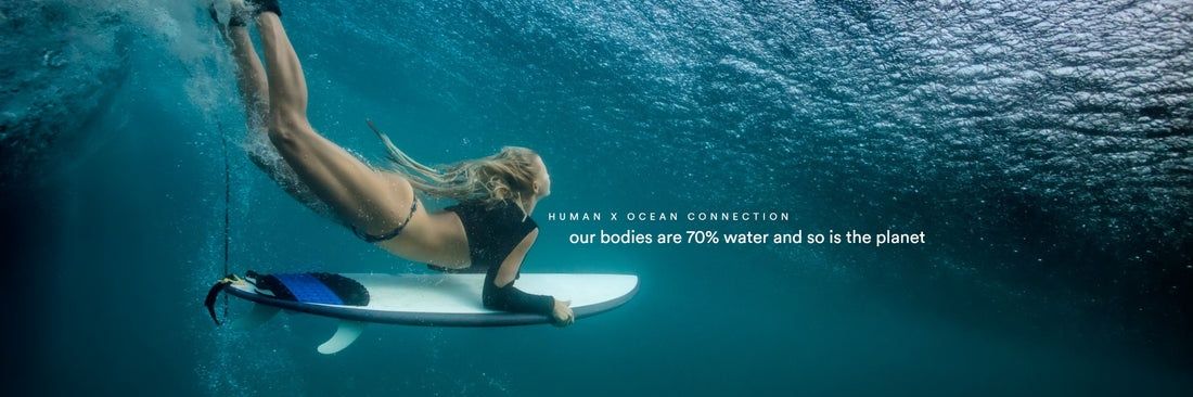 LoLess Blue Beauty Co. banner