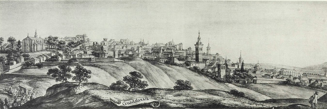 María José Establés banner