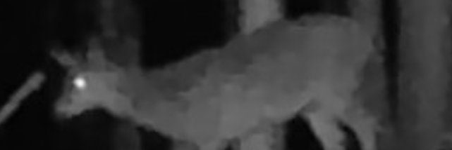 WittyDoor's profile banner image