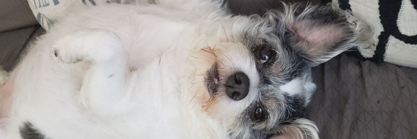 LucyBellHall Profile Banner