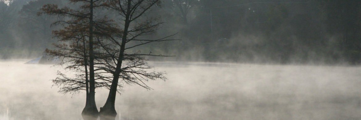 _CharlesMoore's profile banner image