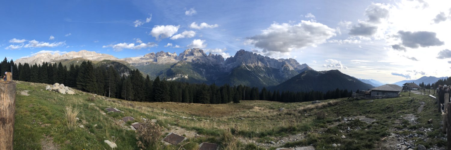 simon grashoff banner