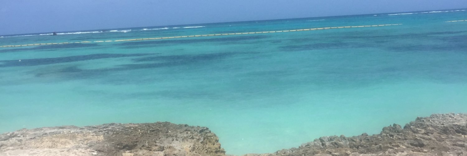 fayegagne's profile banner image