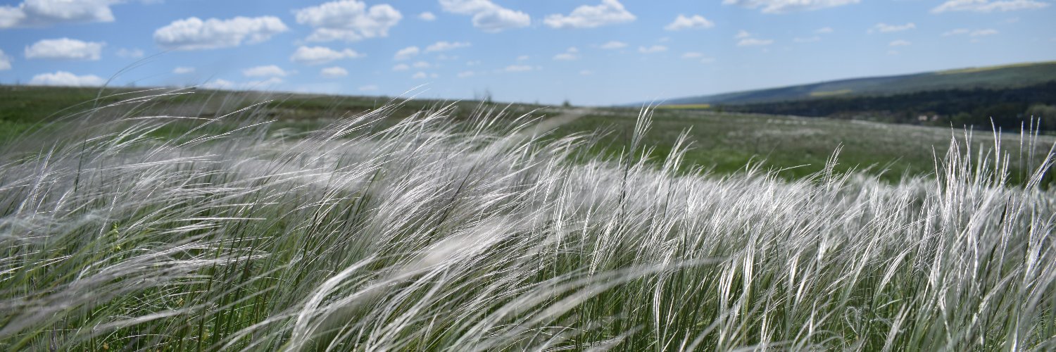 збірна голандії з кьорлінгу banner