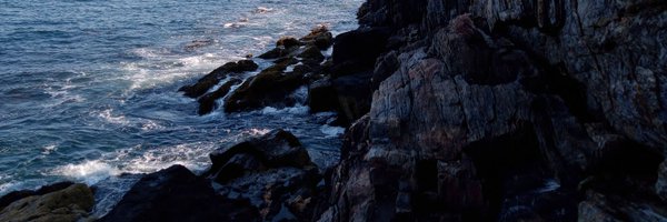 veburts Profile Banner