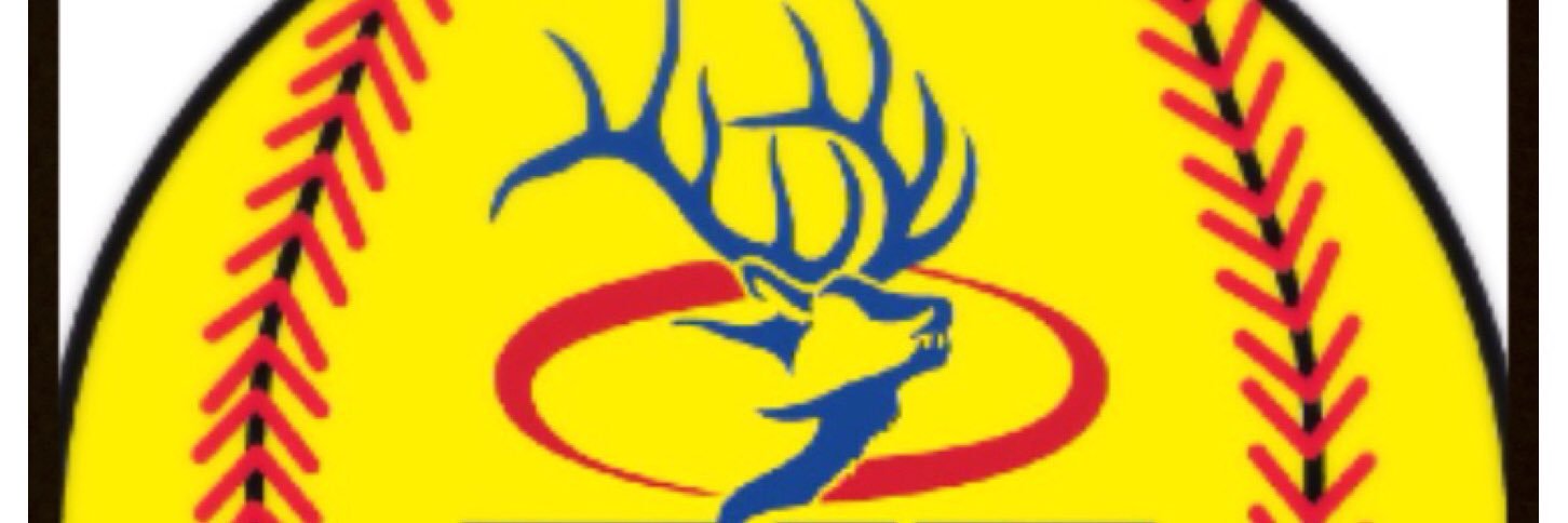 elksoftball's profile banner image