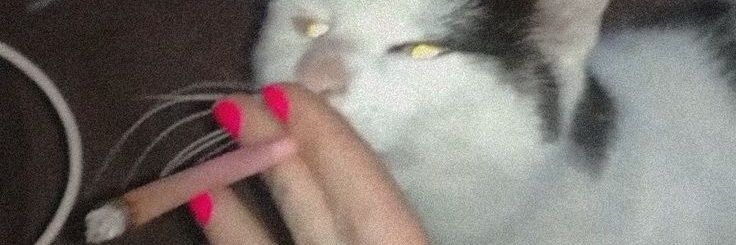 leanda ;3 banner