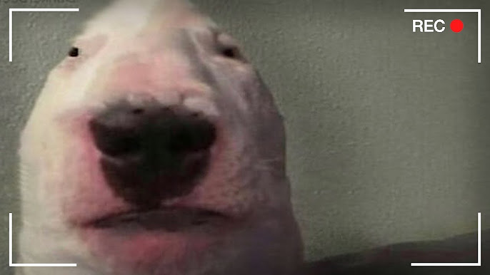 AmidaSketchbook 🔞 banner