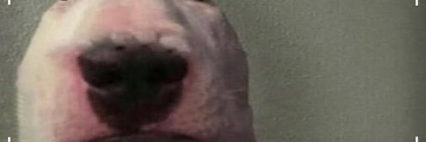 lightamida Profile Banner