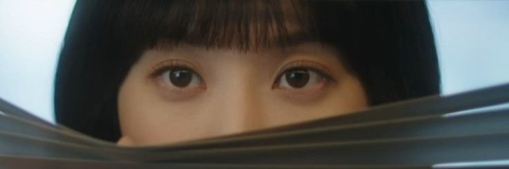 Evil Fei Long banner