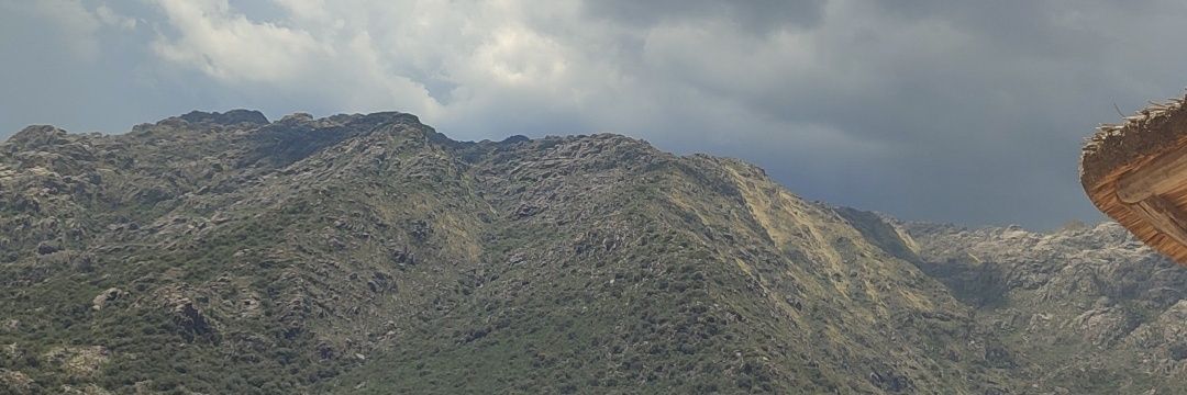 adrianyann's profile banner image