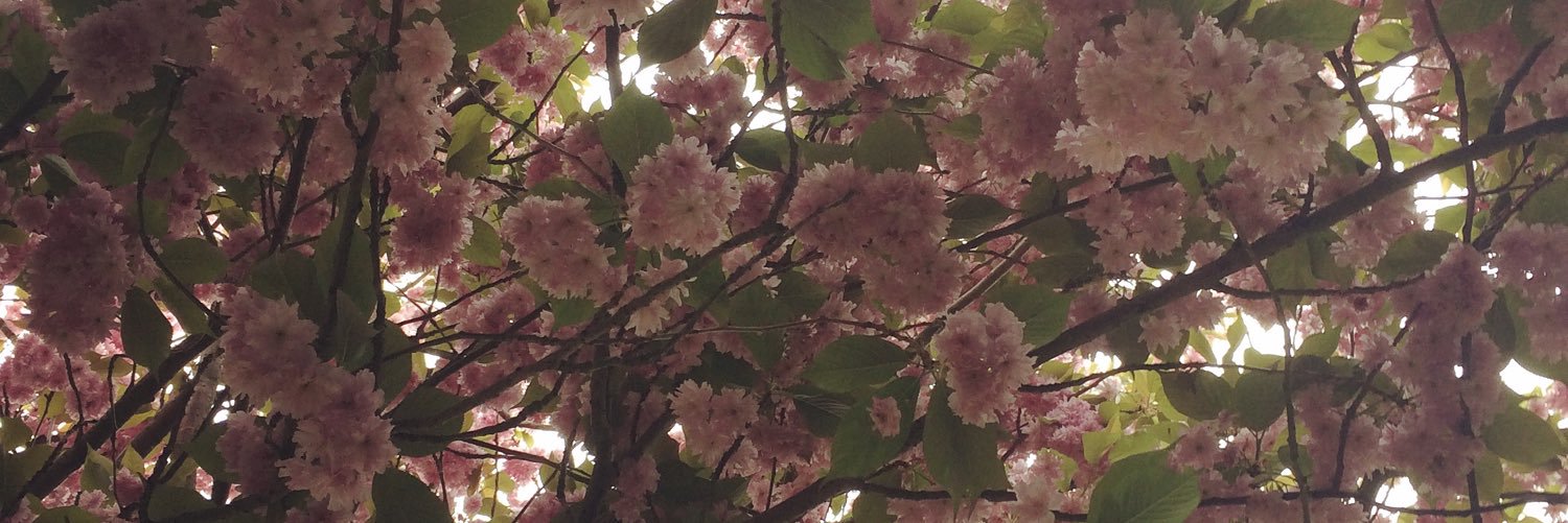 chloemaywebb's profile banner image