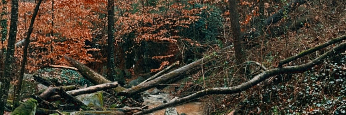 JessSparksNotes's profile banner image