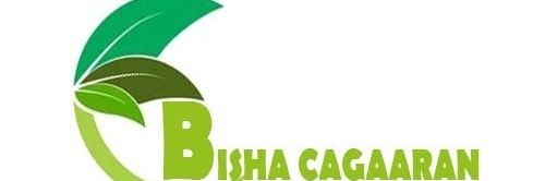 Bisha Cagaaran banner