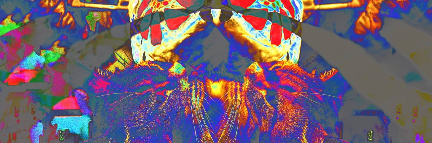 buzzsunflower's profile banner image