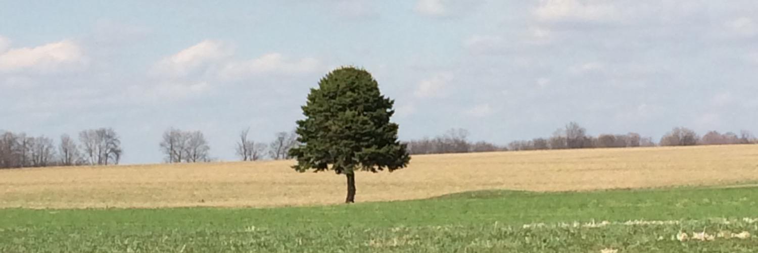 TimWalter's profile banner image