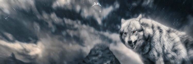 CoochiesSlayers's profile banner image