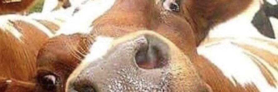 YussFN2021's profile banner image