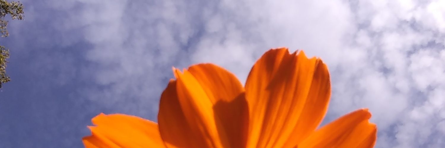 rinzu265's profile banner image