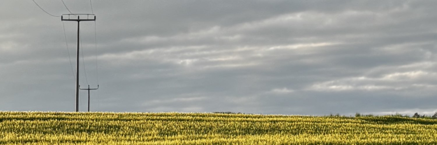 catt 🔞 banner