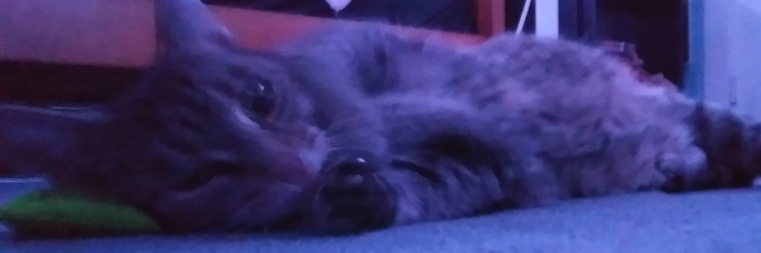 OhMyHey banner