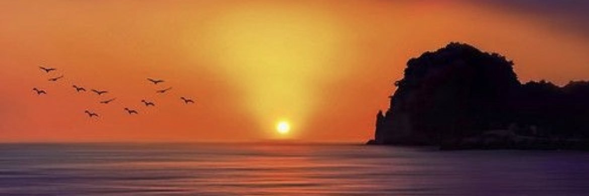 _mizzt's profile banner image