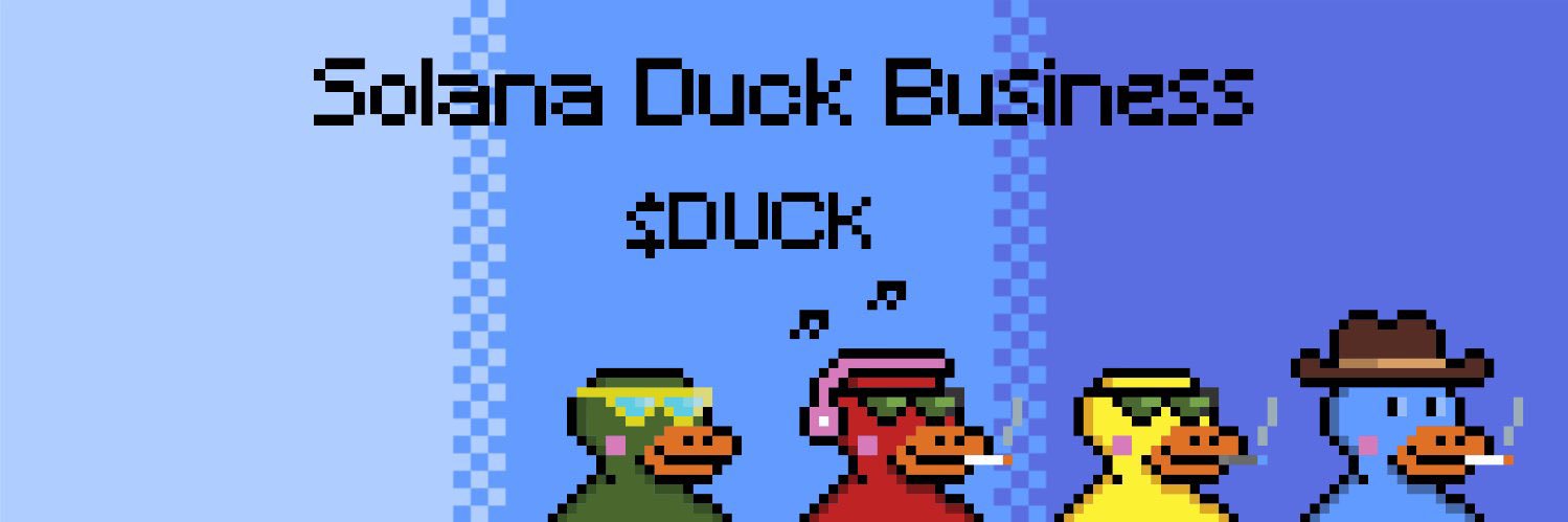 Solana Duck Business banner