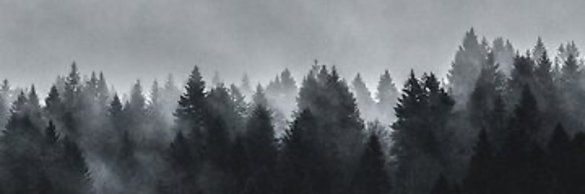 Elias Rangel banner