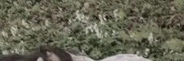 Y2Krotzz's profile banner image