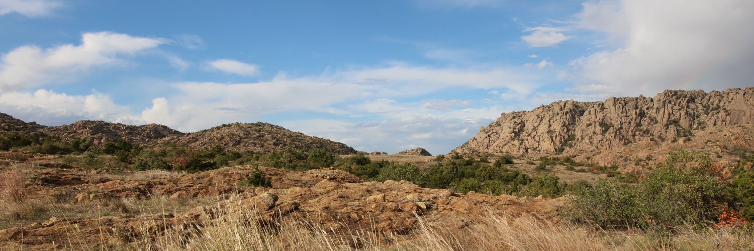 Emily Payne banner