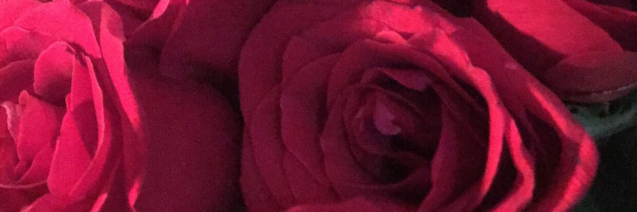 x___tp's profile banner image