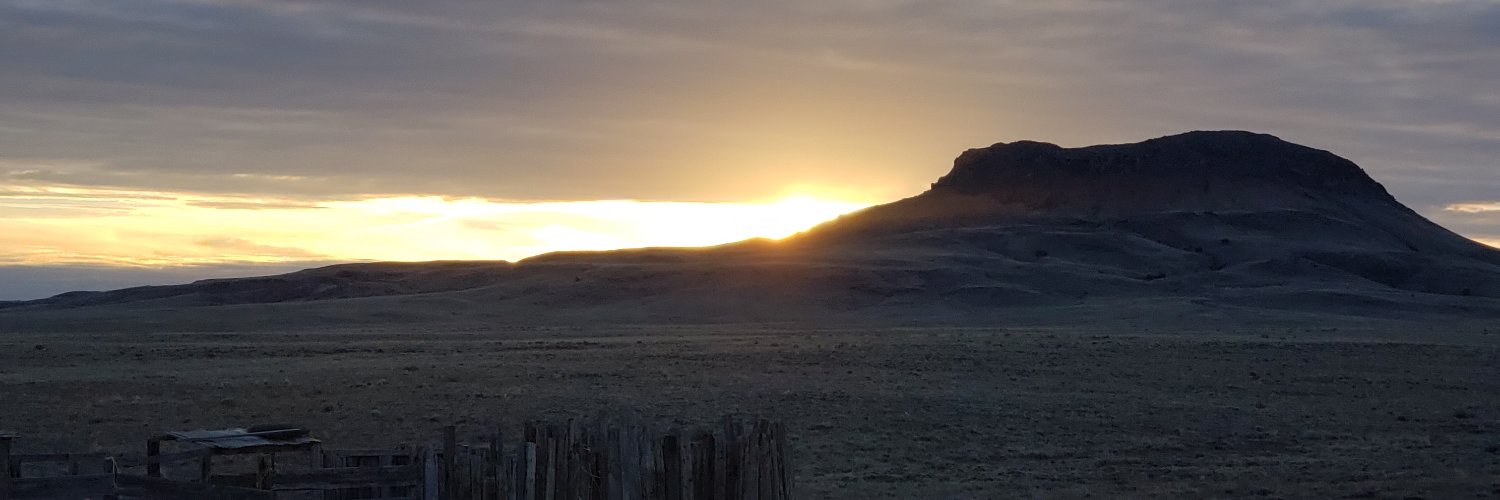 misterwill's profile banner image