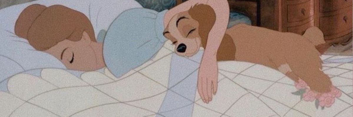 มี๊เมอ ☕🐶 banner