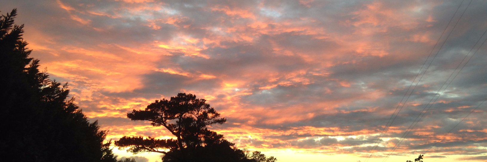 Lauren Baggett banner