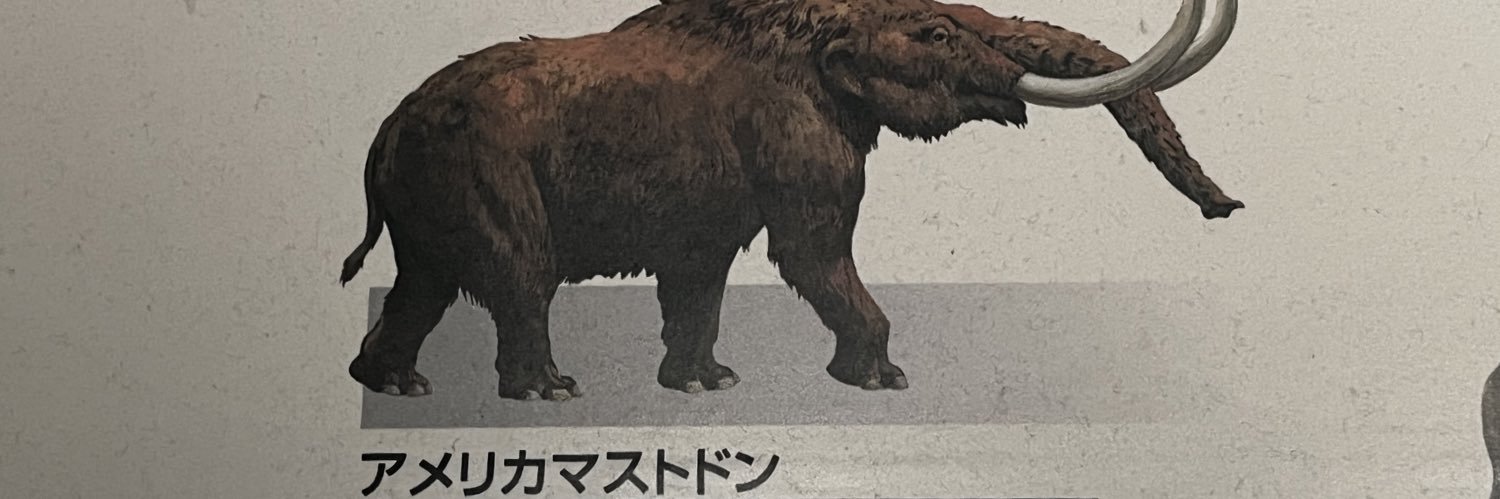 BeanNatsume's profile banner image