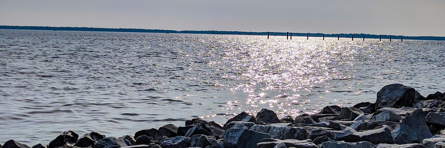 farahmf13's profile banner image