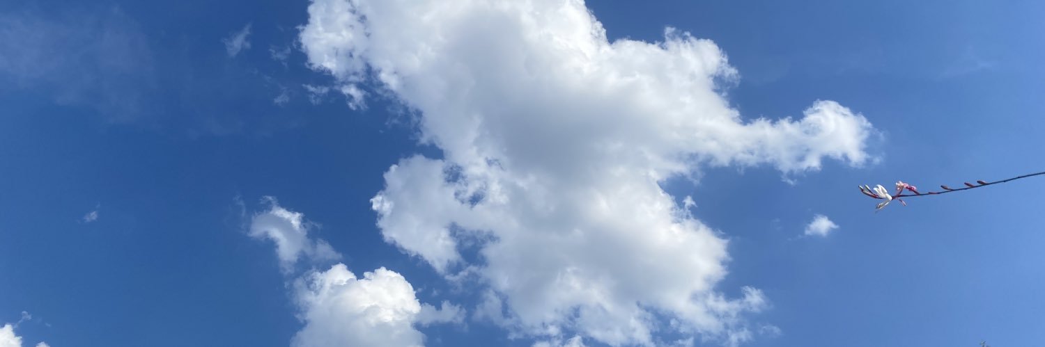 fernanda_'s profile banner image