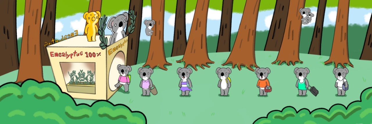 Cool NativeBears🐨 banner