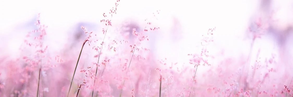 Guenthner Stacy banner