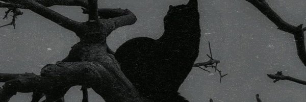 g0ddessofcats Profile Banner